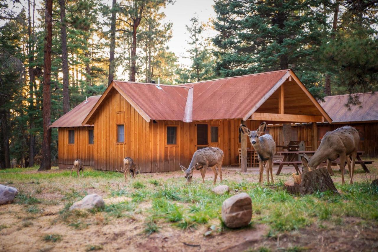 Corkins Lodge Chama Екстериор снимка